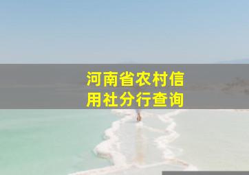 河南省农村信用社分行查询