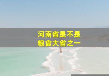 河南省是不是粮食大省之一