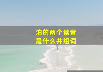 泊的两个读音是什么并组词