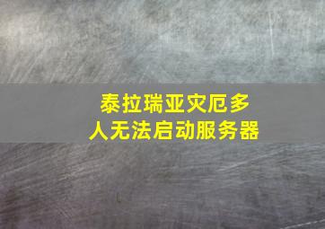 泰拉瑞亚灾厄多人无法启动服务器