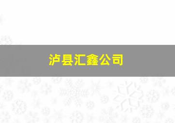 泸县汇鑫公司