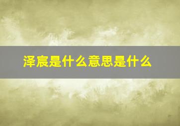 泽宸是什么意思是什么