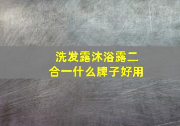 洗发露沐浴露二合一什么牌子好用