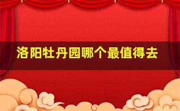 洛阳牡丹园哪个最值得去