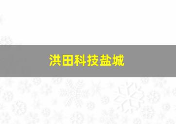 洪田科技盐城