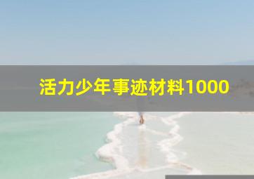 活力少年事迹材料1000