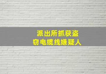 派出所抓获盗窃电缆线嫌疑人