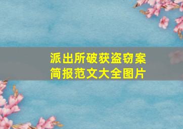 派出所破获盗窃案简报范文大全图片