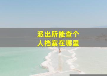 派出所能查个人档案在哪里