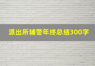 派出所辅警年终总结300字