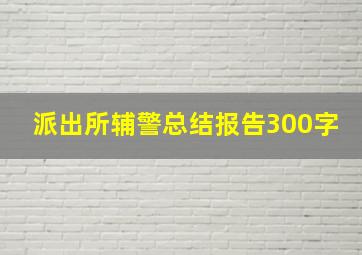 派出所辅警总结报告300字