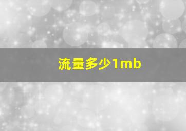 流量多少1mb