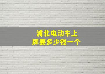 浦北电动车上牌要多少钱一个