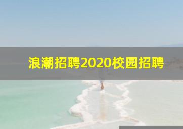 浪潮招聘2020校园招聘