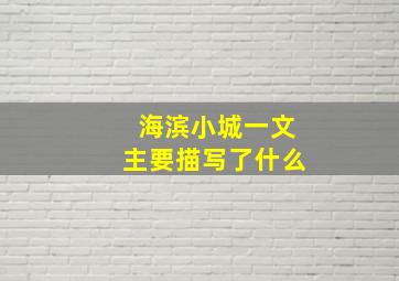 海滨小城一文主要描写了什么