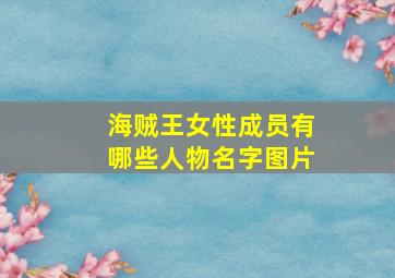 海贼王女性成员有哪些人物名字图片