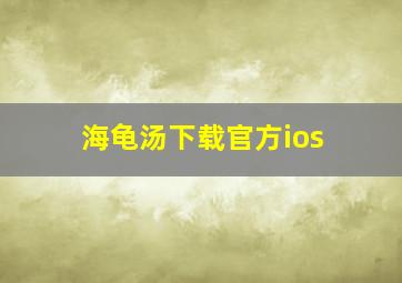 海龟汤下载官方ios