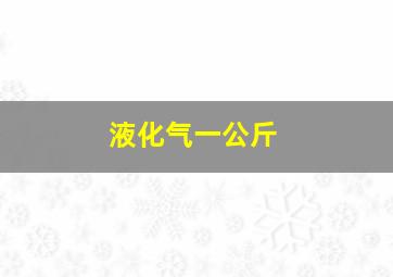 液化气一公斤