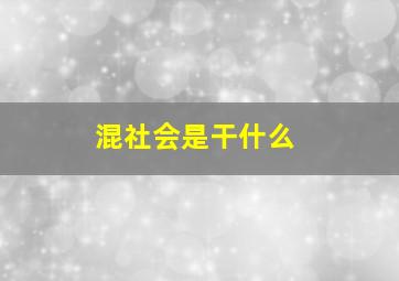 混社会是干什么