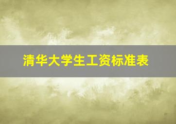 清华大学生工资标准表