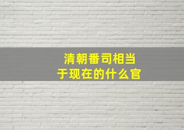 清朝番司相当于现在的什么官