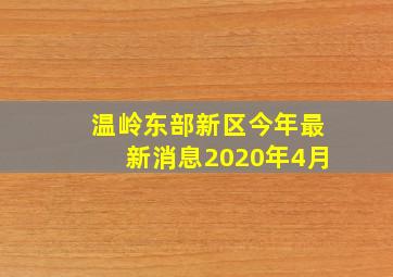 温岭东部新区今年最新消息2020年4月