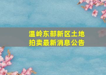 温岭东部新区土地拍卖最新消息公告