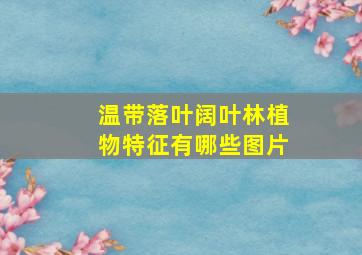 温带落叶阔叶林植物特征有哪些图片