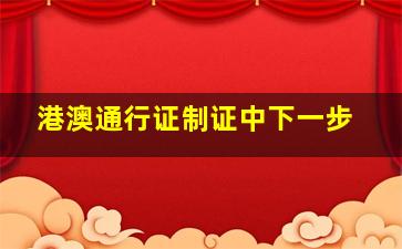 港澳通行证制证中下一步