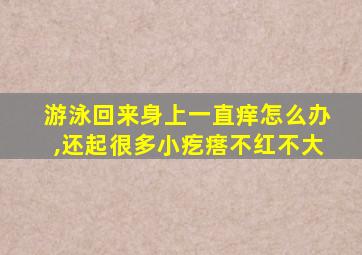 游泳回来身上一直痒怎么办,还起很多小疙瘩不红不大