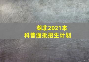 湖北2021本科普通批招生计划