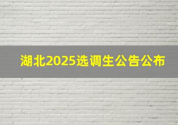 湖北2025选调生公告公布