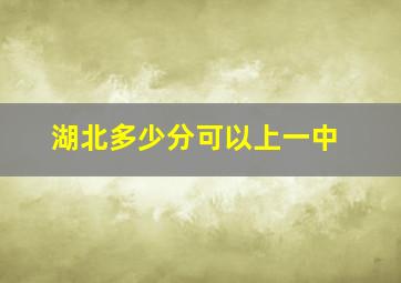 湖北多少分可以上一中