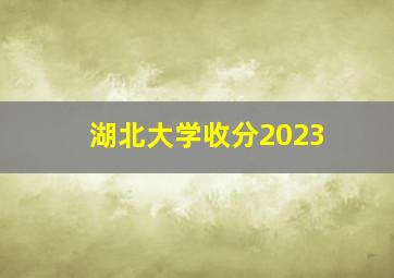 湖北大学收分2023