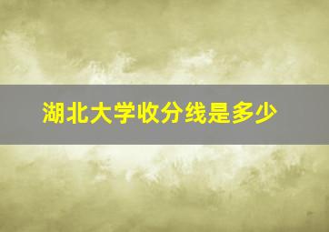 湖北大学收分线是多少