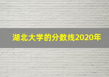 湖北大学的分数线2020年