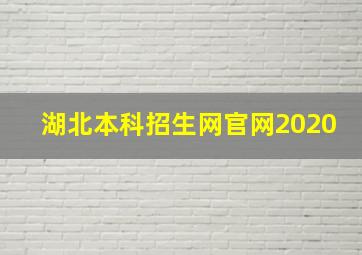 湖北本科招生网官网2020