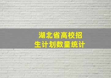 湖北省高校招生计划数量统计