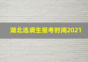 湖北选调生报考时间2021