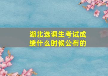 湖北选调生考试成绩什么时候公布的