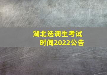 湖北选调生考试时间2022公告