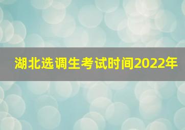 湖北选调生考试时间2022年