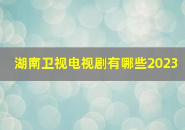 湖南卫视电视剧有哪些2023