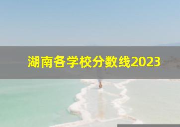 湖南各学校分数线2023