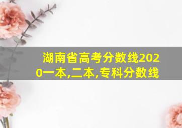 湖南省高考分数线2020一本,二本,专科分数线