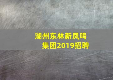 湖州东林新凤鸣集团2019招聘