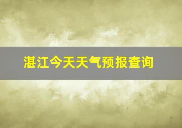 湛江今天天气预报查询