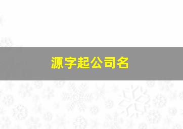 源字起公司名