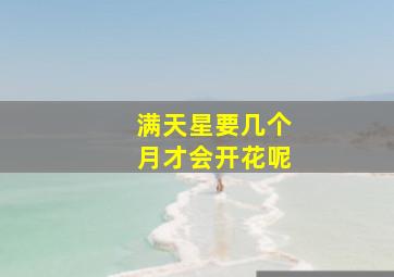 满天星要几个月才会开花呢