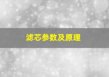 滤芯参数及原理